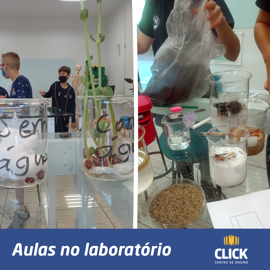 Aulas no Laboratório