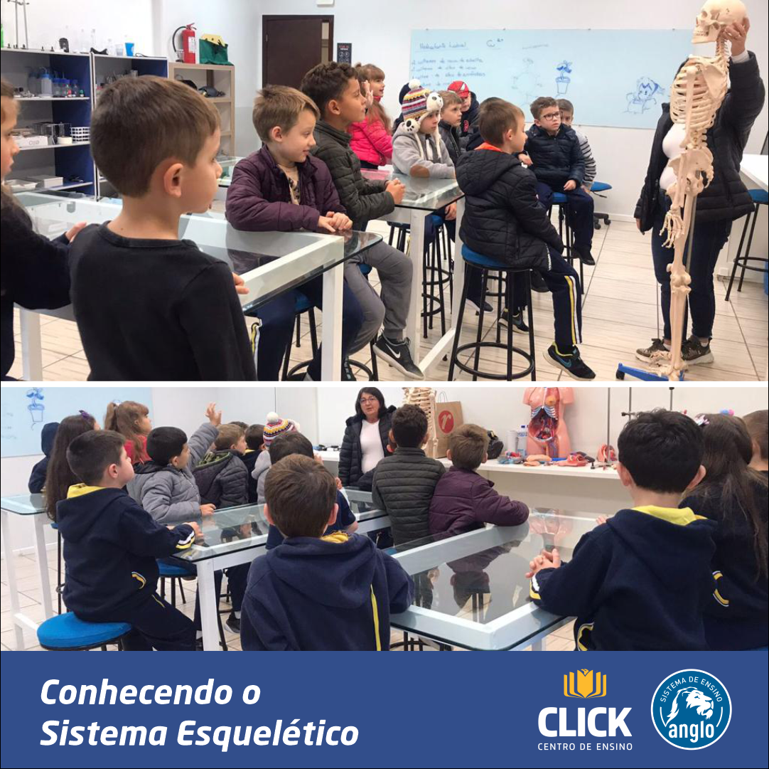 Conhecendo o Sistema Esquelético